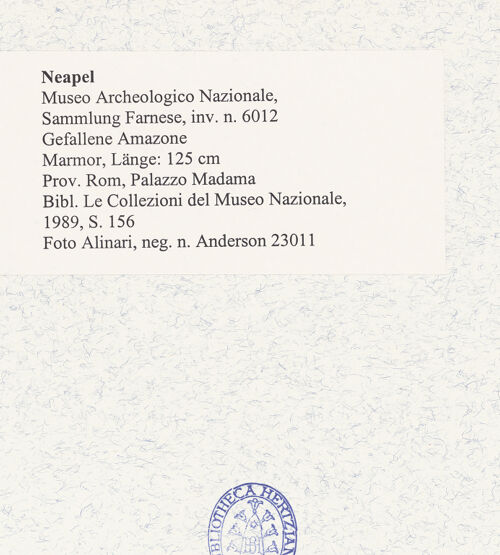 Rückseite von Alinari [https://www.deutsche-digitale-bibliothek.de/content/lizenzen/rv-ez/] Gefallene Amazone - Gesamtansicht, bh492973_recto. Foto.