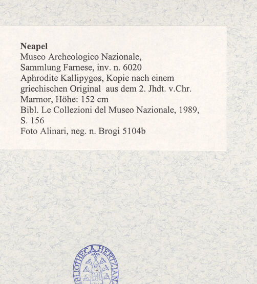 Rückseite von Alinari [https://www.deutsche-digitale-bibliothek.de/content/lizenzen/rv-ez/] Aphrodite Kallipygos, Kopie nach einem griechischen Original aus dem 4./2. Jahrhundert v. Chr. - Detail: Kopf und Schulter, bh492974_recto. Foto.