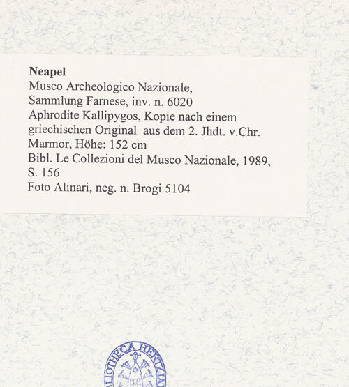 Rückseite von Alinari [https://www.deutsche-digitale-bibliothek.de/content/lizenzen/rv-ez/] Aphrodite Kallipygos, Kopie nach einem griechischen Original aus dem 4./2. Jahrhundert v. Chr. - Ansicht von hinten, bh492976_recto. Foto.