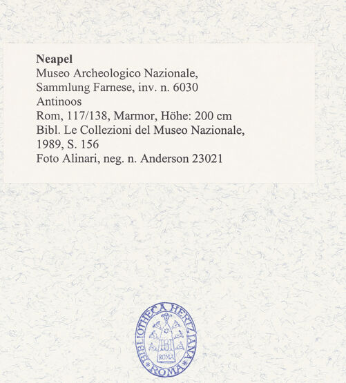 Rückseite von Alinari [https://www.deutsche-digitale-bibliothek.de/content/lizenzen/rv-ez/] Antinoos - Detail: Kopf von rechts, bh492982_recto. Foto.