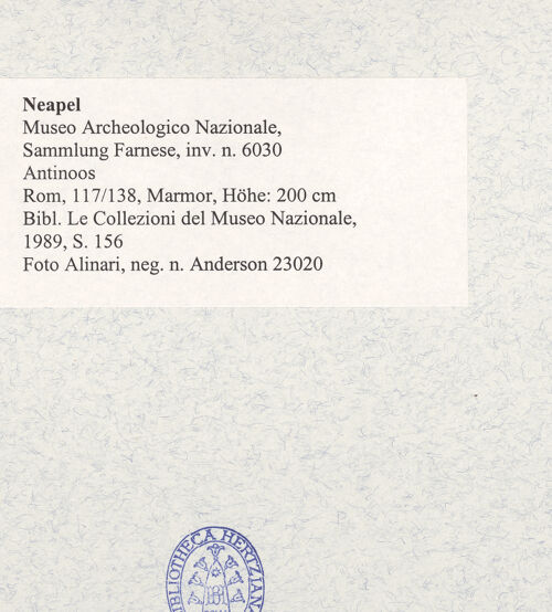 Rückseite von Alinari [https://www.deutsche-digitale-bibliothek.de/content/lizenzen/rv-ez/] Antinoos - Detail: Kopf und Schultern, bh492983_recto. Foto.