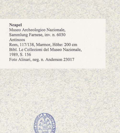 Rückseite von Alinari [https://www.deutsche-digitale-bibliothek.de/content/lizenzen/rv-ez/] Antinoos - Frontalansicht, bh492984_recto. Foto.