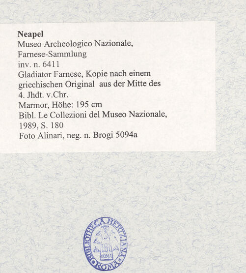 Rückseite von Alinari [https://www.deutsche-digitale-bibliothek.de/content/lizenzen/rv-ez/] Gladiator Farnese, Kopie nach einem griechischen Original aus der Mitte des 4. Jahrhunderts v.Chr. - Detail: Kopf, bh494441_recto. Foto.