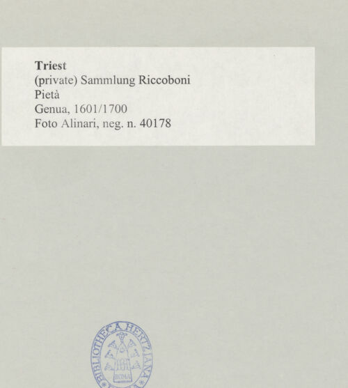 Rückseite von bh495896_recto