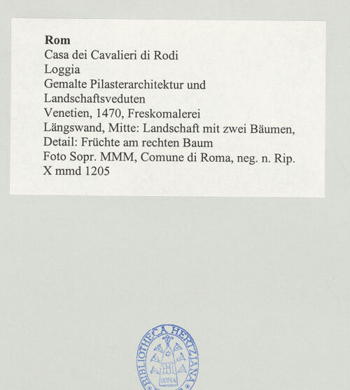 Rückseite von bh498073_recto