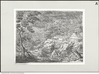 Thumbnail des 8. Ordners