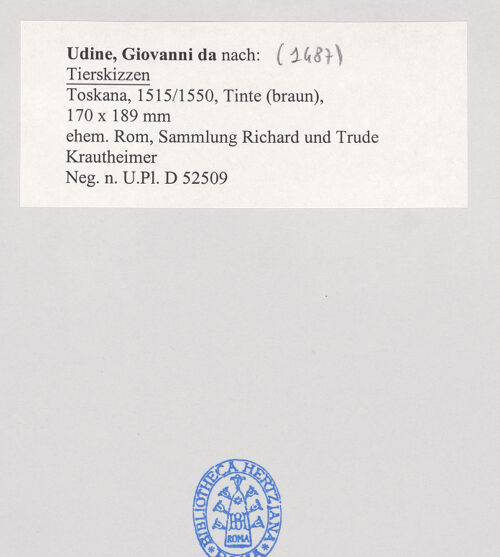 Rückseite von Bibliotheca Hertziana [https://www.deutsche-digitale-bibliothek.de/content/lizenzen/rv-fz/] Skizzen von Tieren und FabelwesenSkizzen von Tieren und Fabelwesen - , bh498929_recto. Foto.