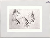 Thumbnail des 8. Ordners