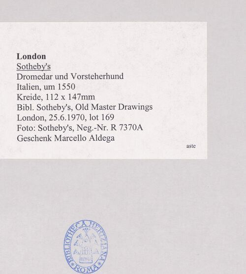 Rückseite von bh509199_recto