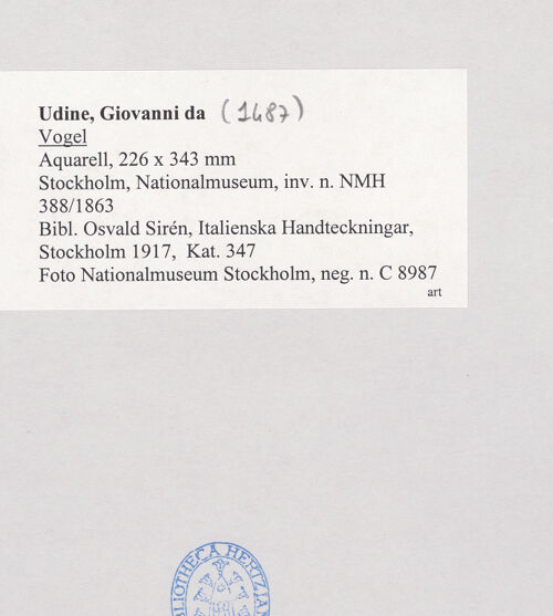 Rückseite von bh509482_recto