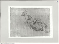 Thumbnail des dritten Ordners