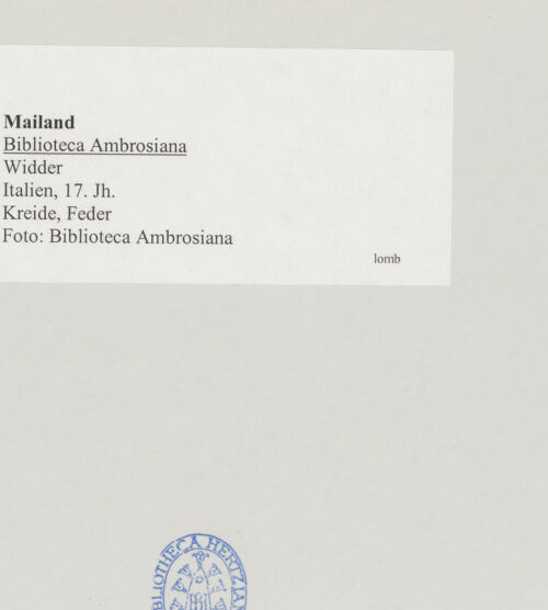 Rückseite von bh519657_recto