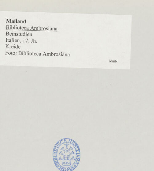 Rückseite von bh519675_recto