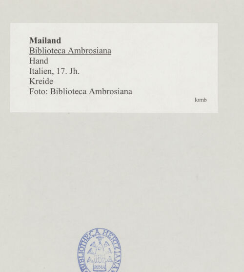 Rückseite von bh519684_recto