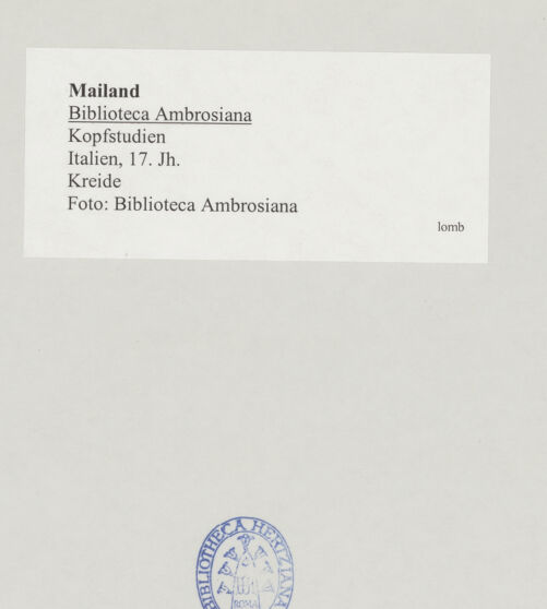 Rückseite von bh519692_recto