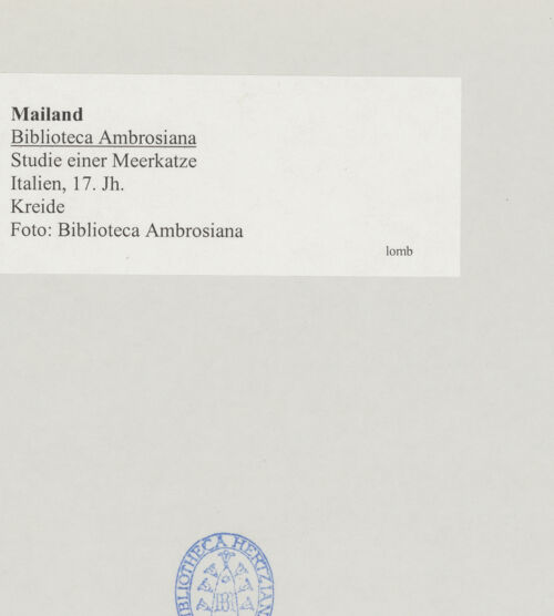 Rückseite von bh519707_recto