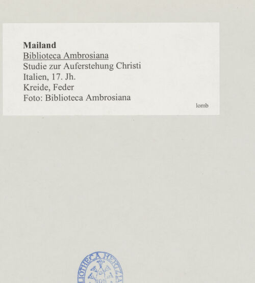 Rückseite von bh519713_recto