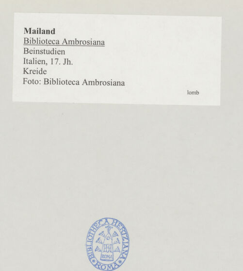 Rückseite von bh519722_recto