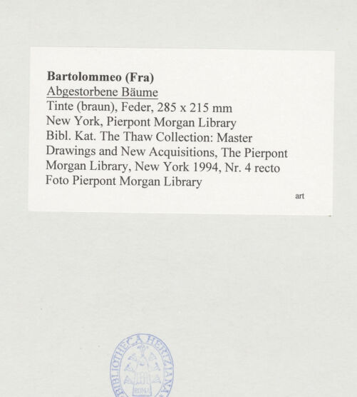 Rückseite von bh523876_recto