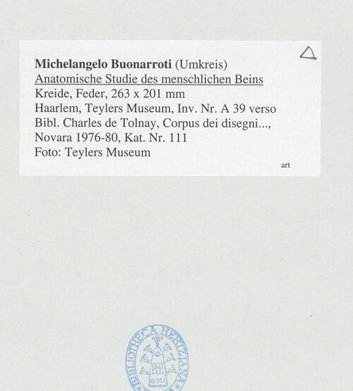 Rückseite von bh524016_recto