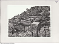 Thumbnail des 7. Ordners