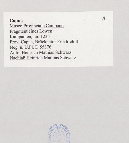 Rückseite von Bibliotheca Hertziana [https://www.deutsche-digitale-bibliothek.de/content/lizenzen/rv-fz/] Fragment eines Löwen (Konsole oder Tragfigur) - Ansicht von links, bh525138_recto. Foto: Schwarz, Heinrich Mathias.