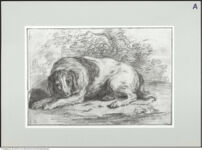 Thumbnail des 10. Ordners