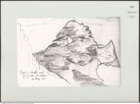 Thumbnail des ersten Ordners