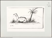 Thumbnail des 7. Ordners