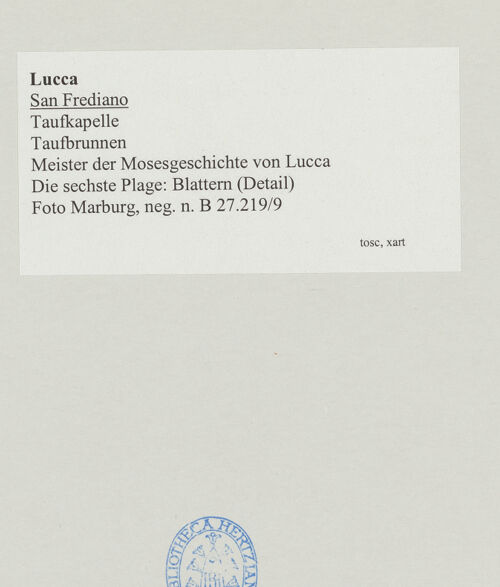 Rückseite von bh535971_recto