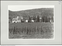 Thumbnail des zweiten Ordners