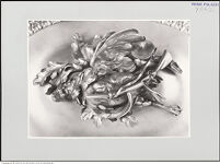 Thumbnail des 10. Ordners