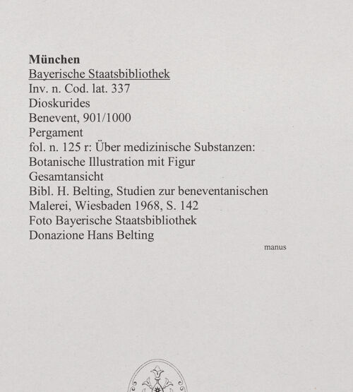 Rückseite von bh549864_recto