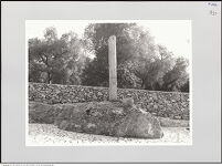 Thumbnail des 7. Ordners