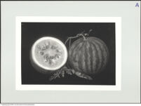 Thumbnail des 11. Ordners