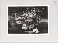 Thumbnail des 10. Ordners