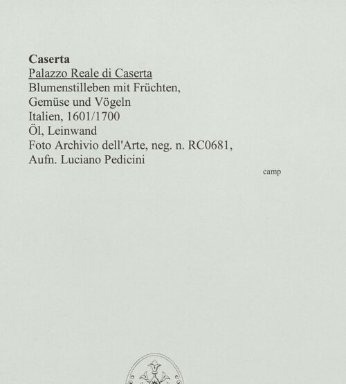 Rückseite von Pedicini, Luciano [https://www.deutsche-digitale-bibliothek.de/content/lizenzen/rv-ez/] Blumenstilleben mit Früchten, Gemüse und Vögeln - Gesamtansicht, bh565385_recto. Foto: Pedicini, Luciano.