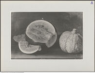 Thumbnail des 17. Ordners