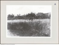 Thumbnail des dritten Ordners