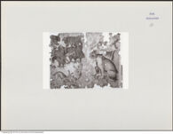 Thumbnail des vierten Ordners