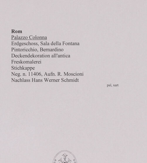 Rückseite von Biblioteca Apostolica Vaticana [https://www.deutsche-digitale-bibliothek.de/content/lizenzen/rv-ez/] Gewölbedekoration all'anticaBrunnen flankiert von Personifikationen des Nil, Tropaion und Pfaun - Gesamtansicht der Stichkappe, bh577298_recto. Foto: Moscioni, Romualdo.