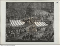 Thumbnail des 8. Ordners