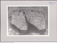 Thumbnail des zweiten Ordners