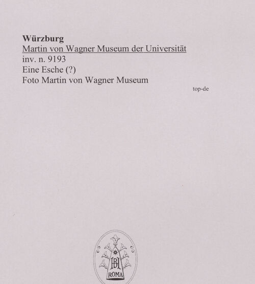 Rückseite von Martin von Wagner Museum [https://www.deutsche-digitale-bibliothek.de/content/lizenzen/rv-ez/] Eine Esche (?) - , bh589011_recto. Foto.