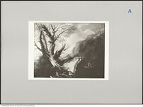 Thumbnail des 8. Ordners