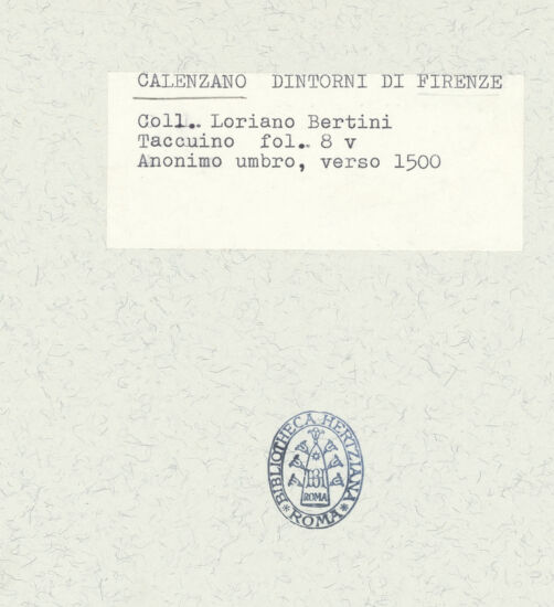 Rückseite von bh593366_recto