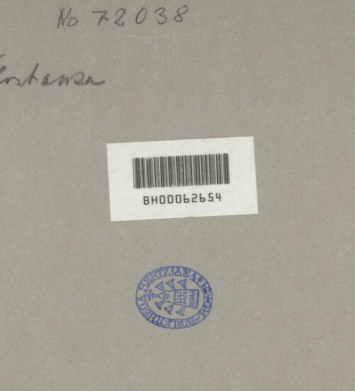 Rückseite von bh593429_recto