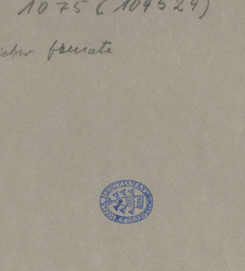 Rückseite von bh593435_recto