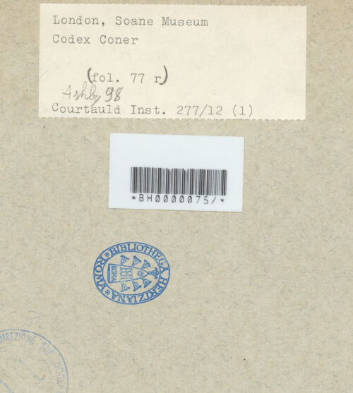 Rückseite von bh593501_recto