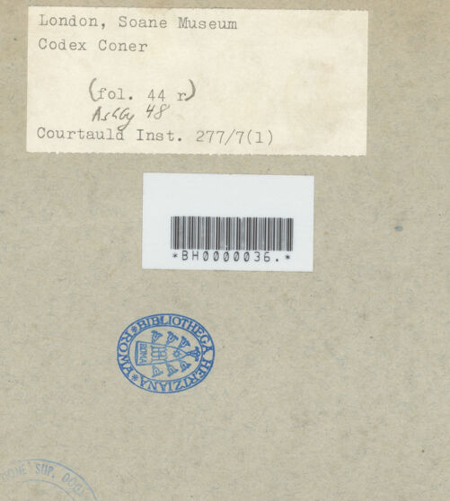 Rückseite von bh593552_recto